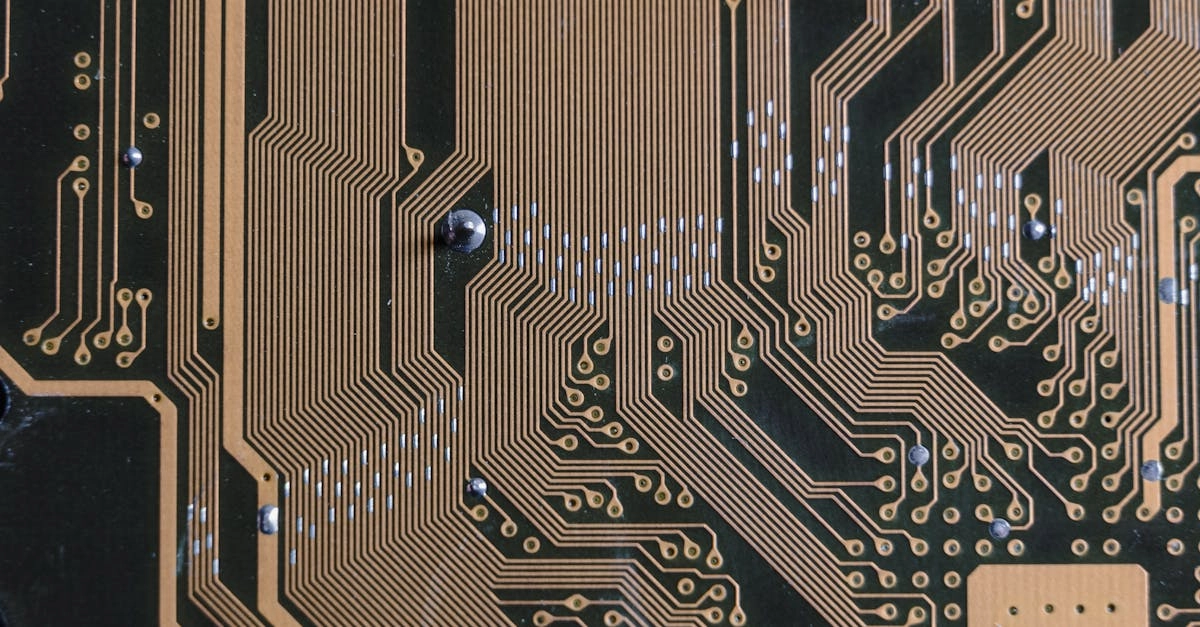 Технологический анализ игрового слота Wolf Gold и его инновационных решений